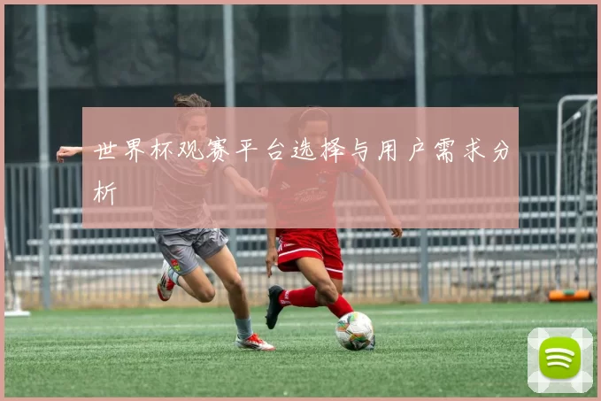 世界杯观赛平台选择与用户需求分析
