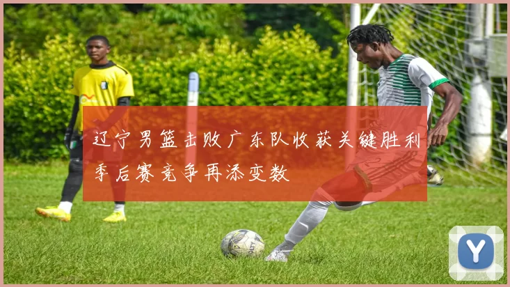 辽宁男篮击败广东队收获关键胜利季后赛竞争再添变数