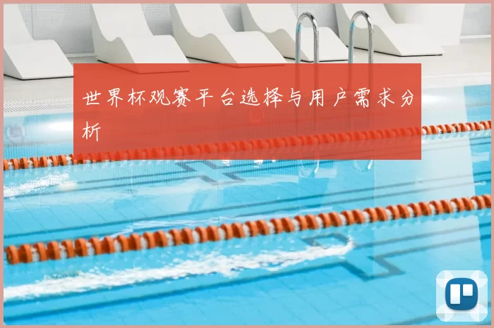 世界杯观赛平台选择与用户需求分析