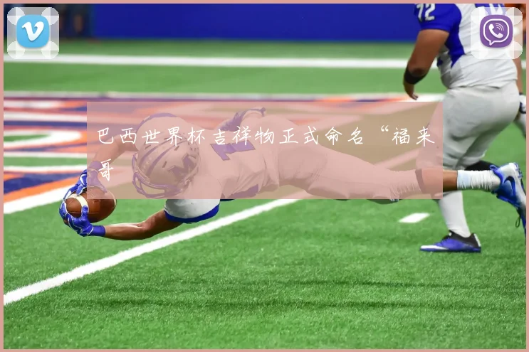 巴西世界杯吉祥物正式命名“福来哥