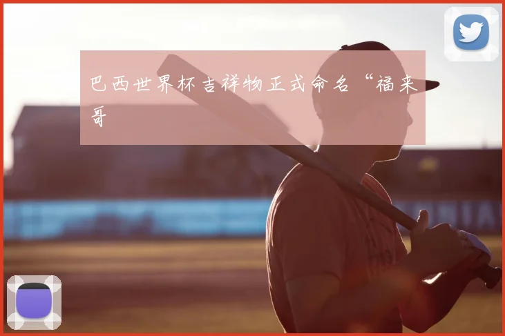巴西世界杯吉祥物正式命名“福来哥