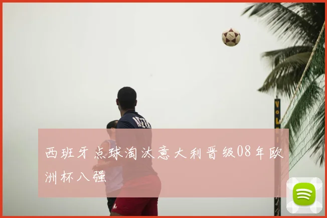 西班牙点球淘汰意大利晋级08年欧洲杯八强