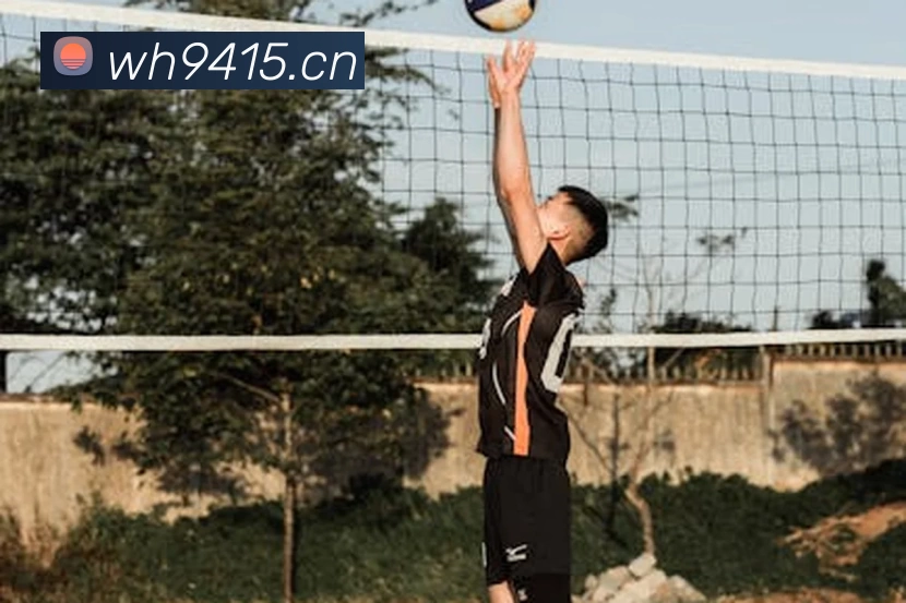 App Interface Preview